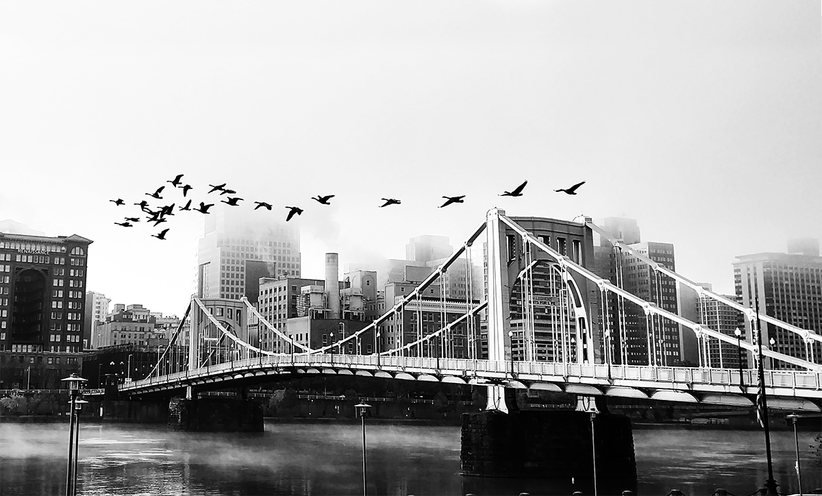 Photographer featured image